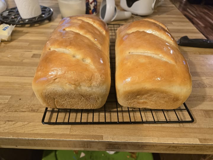 Sourdough Sandwich Bread Recipe