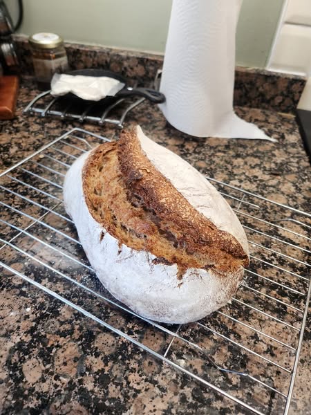 SOURDOUGH